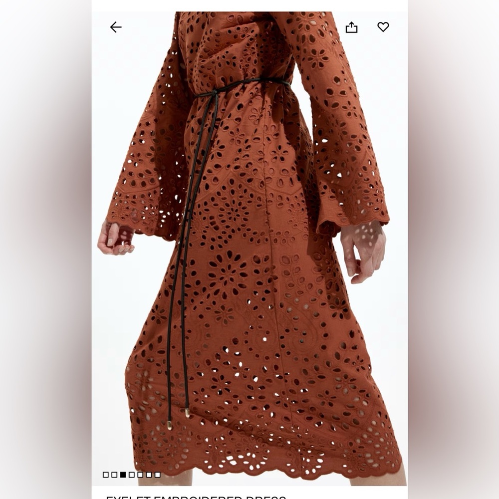 H&M Brown Long Sleeve Eyelet Dress - Picture 3 of 10